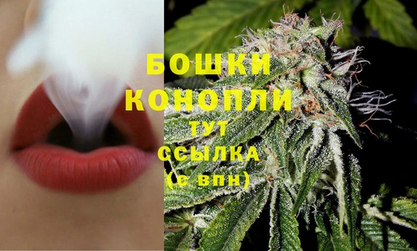 ПСИЛОЦИБИНОВЫЕ ГРИБЫ Белоозёрский