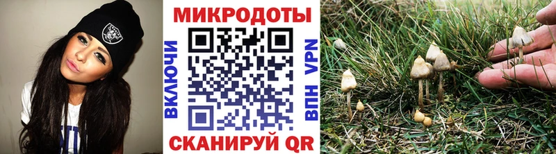 Псилоцибиновые грибы ЛСД закладки Кудымкар