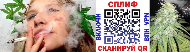 Бошки марихуана THC 21%  купить  цена  Кудымкар 